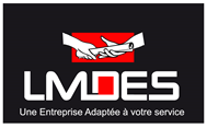 LMDES Logo